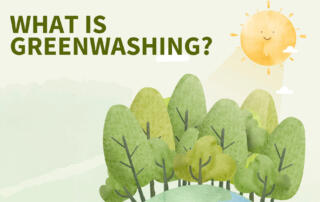 What is greenwashing